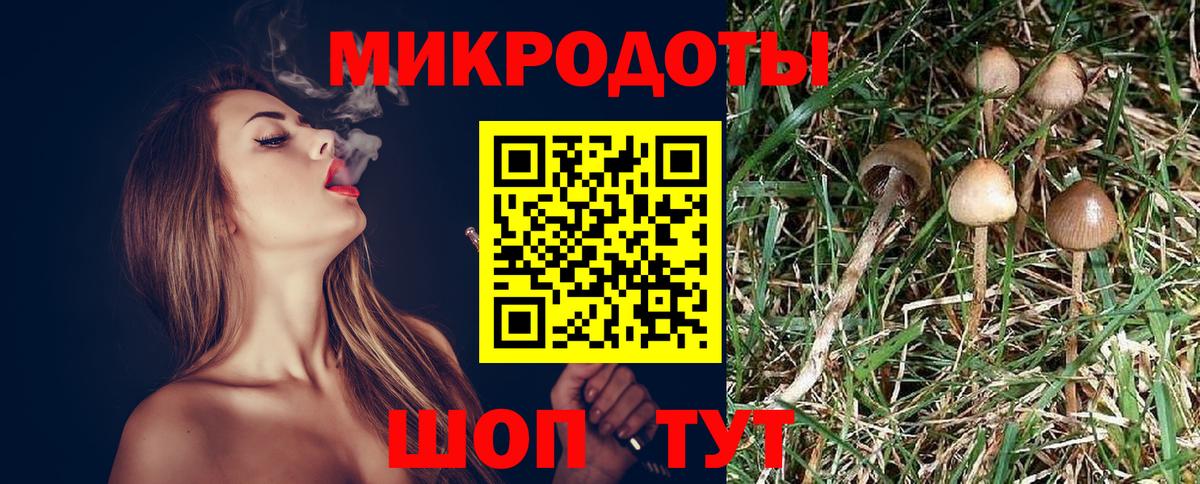 Галлюциногенные грибы Psilocybine cubensis  Вход с VPN  Муравленко  что такое наркотик  Галлюциногенные грибы Psilocybe 