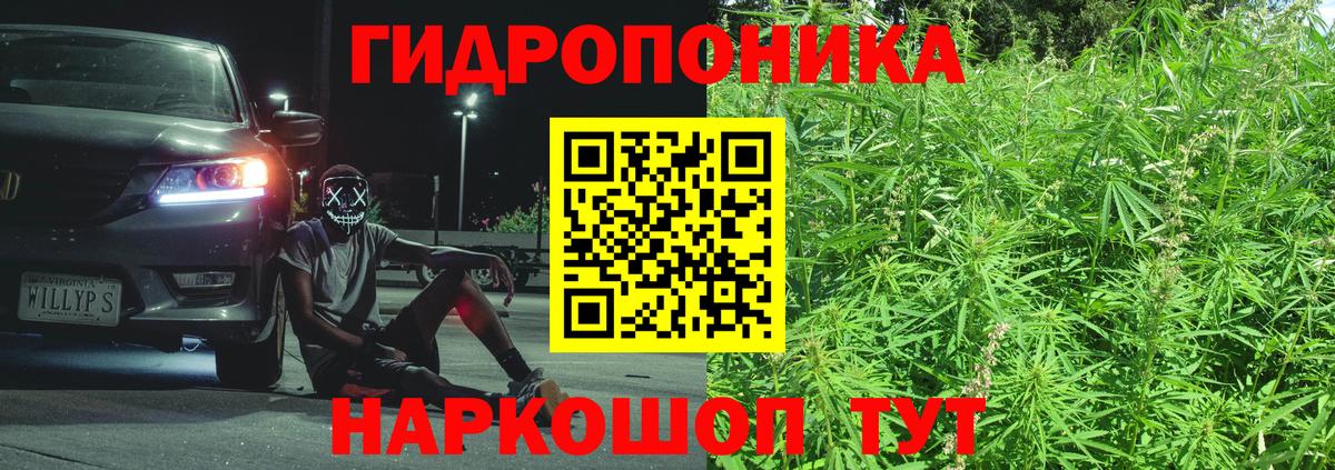 Марихуана гибрид Муравленко
